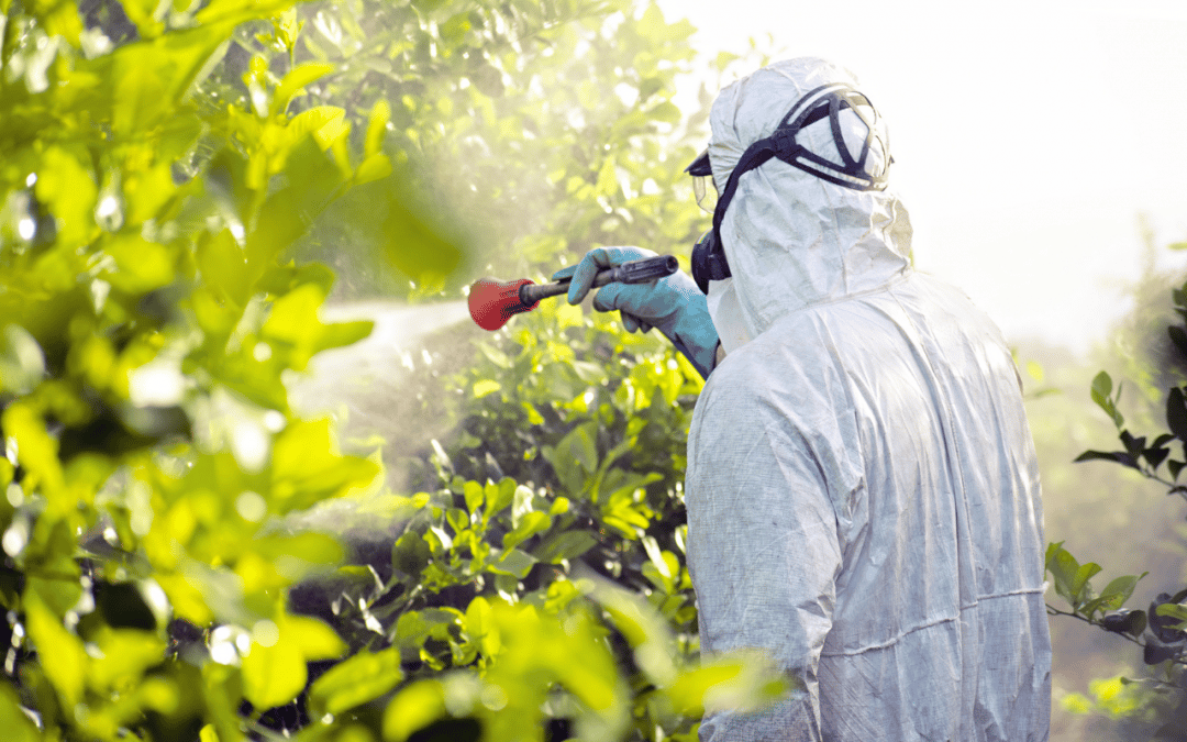 L’impact des pesticides sur la biodiversité