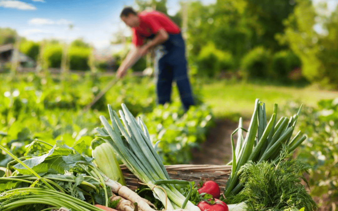 L'agriculture bio : respectueuse de l'environnement
