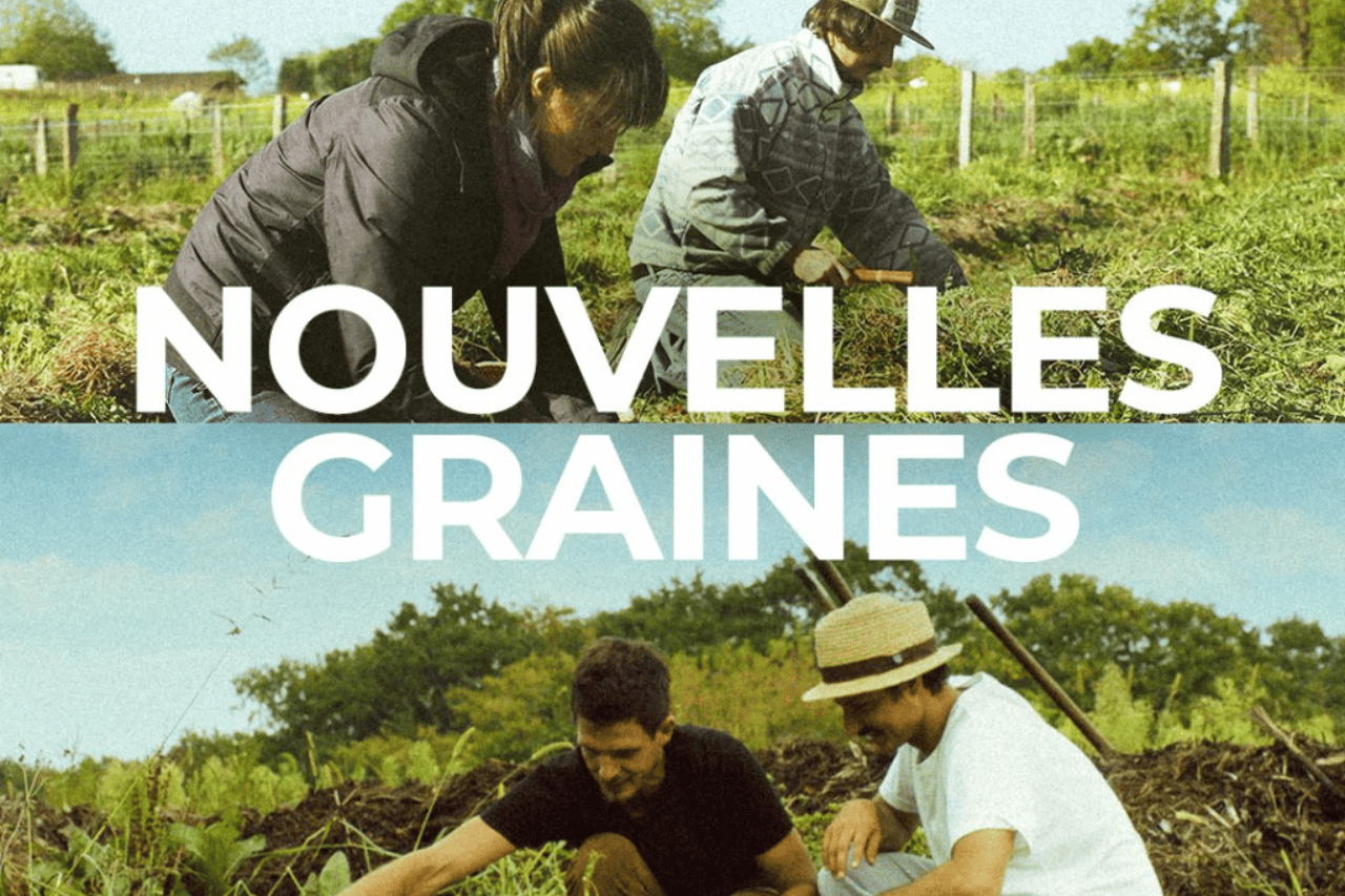 Nouvelles graines source : Francetv.fr